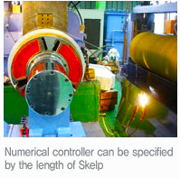 SHELL CHEMICALS